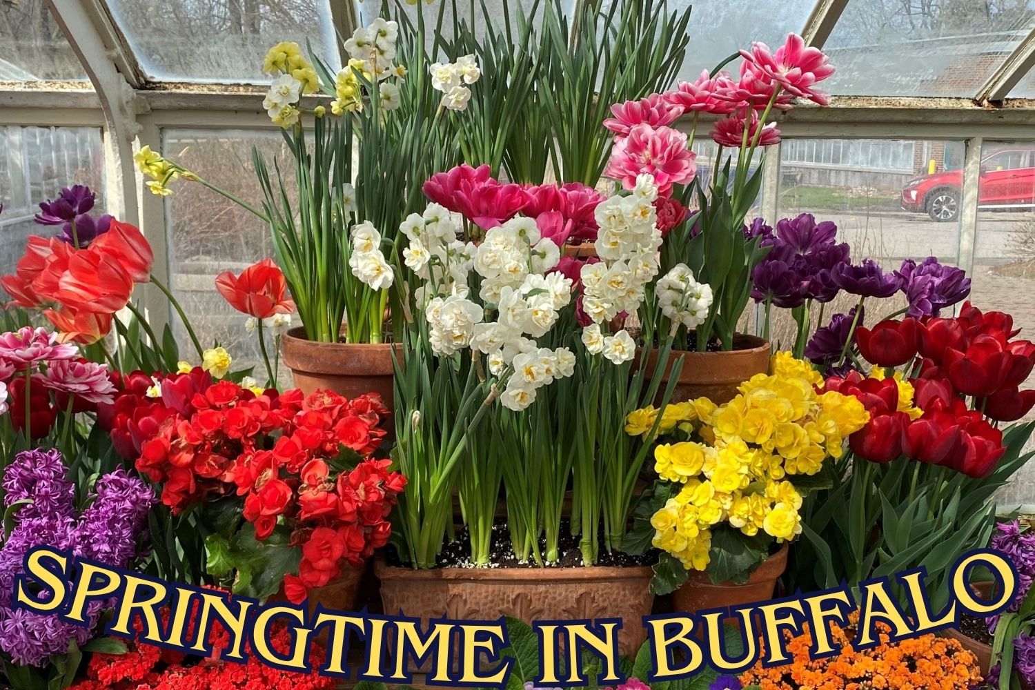 Springtime in Buffalo - Thurs., March 25, 2026